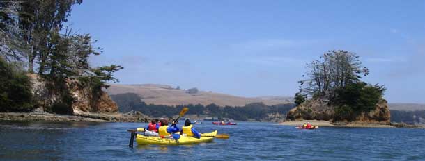 Kayaking Tomales Bay